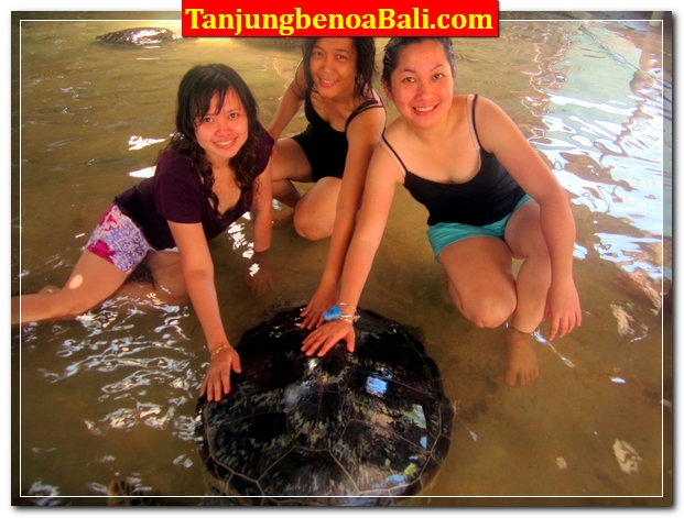 Pulau Penyu Bali Tanjung Benoa