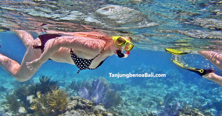 Snorkeling Tanjung Benoa